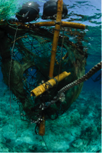 dFAD found in Maldives Image of dFAD found in Maldives