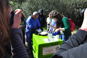 Turtle Necropsy techniques to determine cause of death, analyse stomach contents and diagnosing DCS. The rescue centre was equipped with Xray and blood analysis capabilities. 