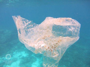 Plastic floating in the ocean Maldives