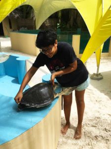 ORP Volunteer Parkriti Mittal caring for Beyonce the turtle