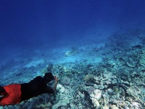 ORP Project coordinator, Shameel, photo-ID'ing a hawksbill turtle 