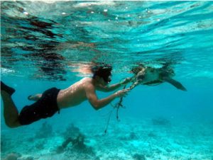 OPR volunteer working under water in Maldives