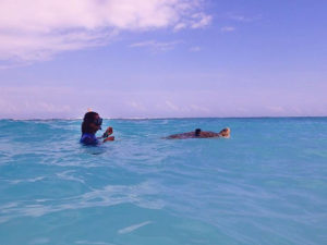 Olive-ridley-turtle-patient-Penny-swimming-lesson