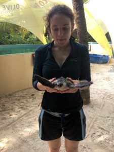 Hatti and baby turtle Luna before Luna's release