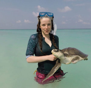 Volunteer Hatti taking turtle patient Stitch for a swimin the sea