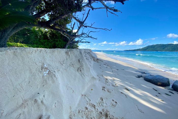 Beach erosion in Seychelles by Lara Kalisch Beach erosion in Seychelles leads to a large erosion cliff. Image.