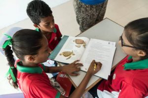 Three students studying sea turtles during a MUI on a school visit. Photo