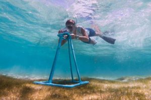 MUI team member monitoring sea grass levels Laamu atoll Maldives. Underwater photo