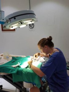 Dr Claire Lomas performs surgery on turtle patient and ghost net victim Eve