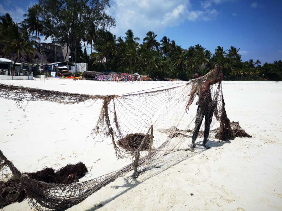 Removing Deadly Gill Nets from a Live Coral Reef