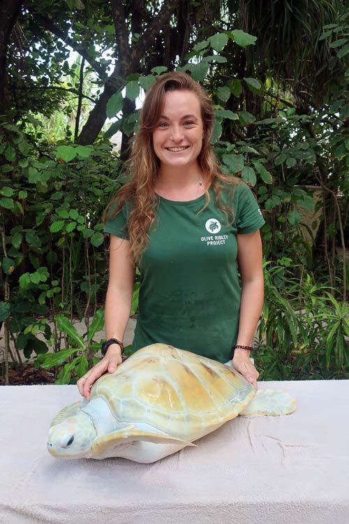 Cloud a rare white turtle and Claire the turtle vet Maldives