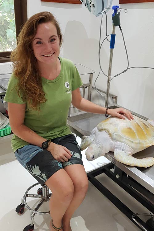 The rare white turtle Cloud and Claire the Vet at Rescue Centre