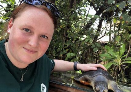 vet near me for turtles