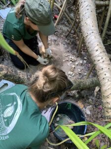 Kim and another volunteer investigating a hatched turtle nest for hatched, premature and non-viable eggs.