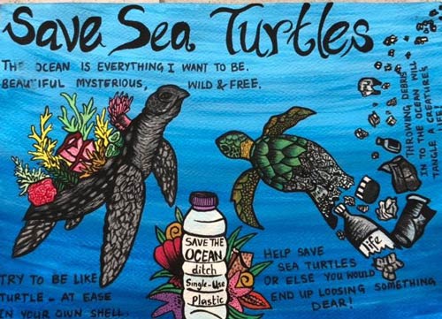 Turtle art competition submission Vaavoshi Turtle Festival 2019