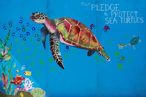 Vaavoshi Turtle Festival 2019 sea turtle pledge mural painted by Dr. Claire Lomas