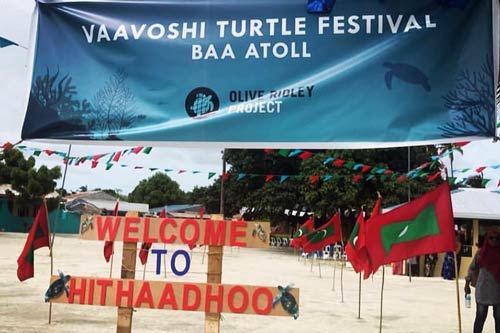 Welcome to Vaavoshi Turtle Festival 2019, the first ever turtle festival in Baa Atoll, on Hithaadhoo Island