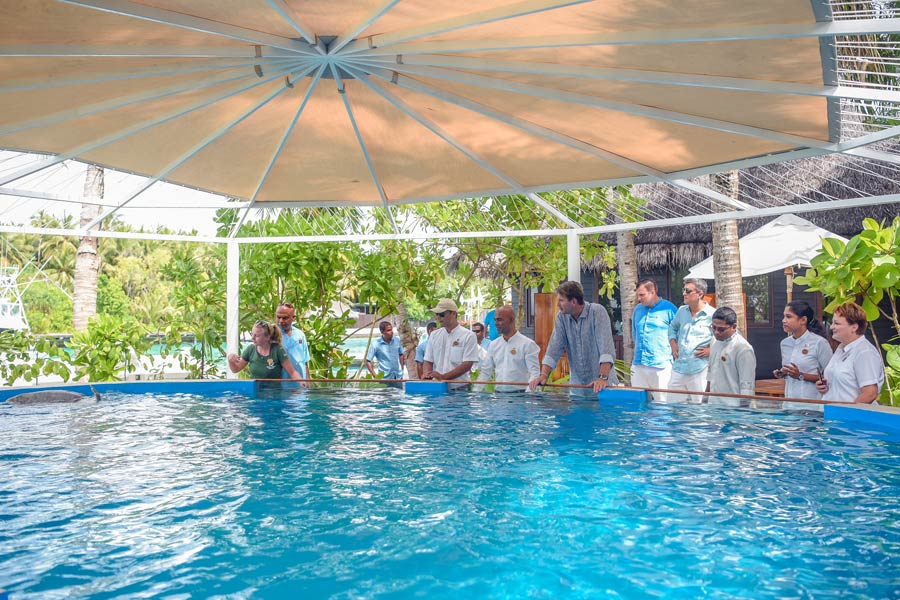 One & Only Reethi Rah staff welcomes Azura to the Turtle Rehabilitation Centre