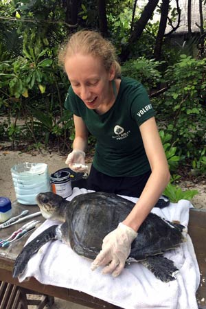 Visiting Vet Maria treating a turtle patient