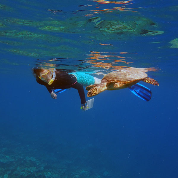 Women in science: Dr. Jillian Hudgins during a turtle research expedition in Maldives, studying a hawksbill turtle.