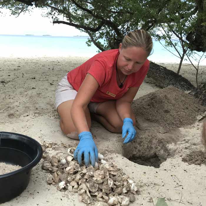 Women in science: Dr. Stephanie Kohnk excavating a hatched turtle nest in Maldives to check the hatching success rate.