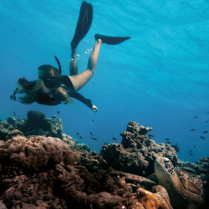 Women in science: Kristina Loosen studying a green turtle in Maldives whilst free-diving.