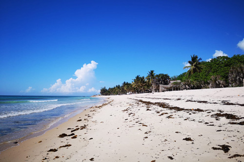 Long white beach in Kenya. Image.