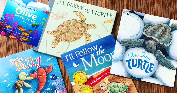 Children's turtle books. Image.