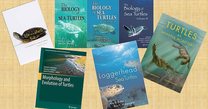 Turtle Book Club: Turtle Science