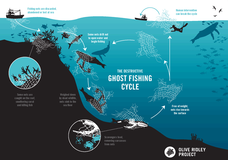 Ghost Nets” in the Ocean