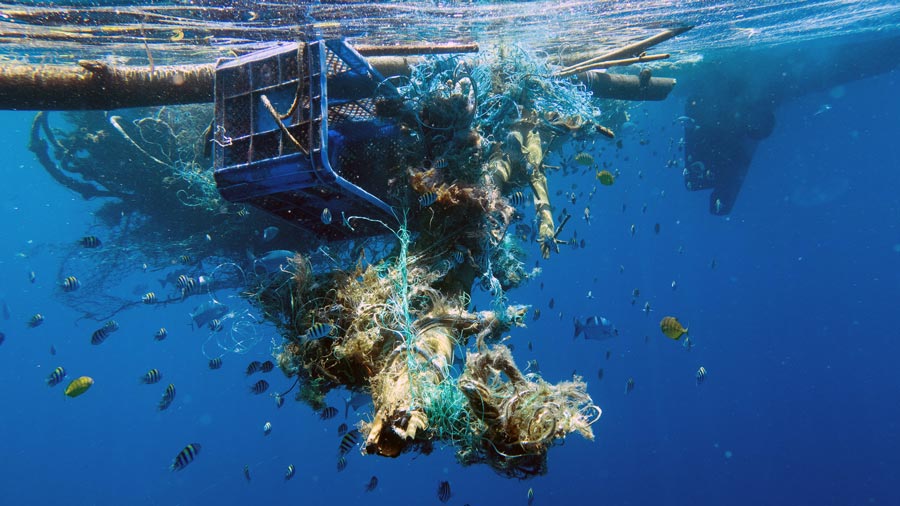 New biodegradable nets could contribute to solving ghost fishing