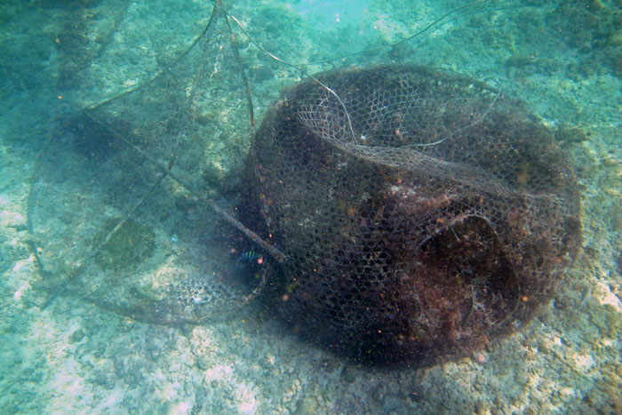 Fishing pot in the water, Oman. Image.