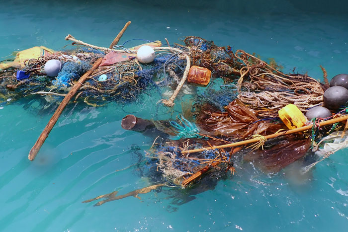 Ghost nets are fishing nets that have been left or lost in the