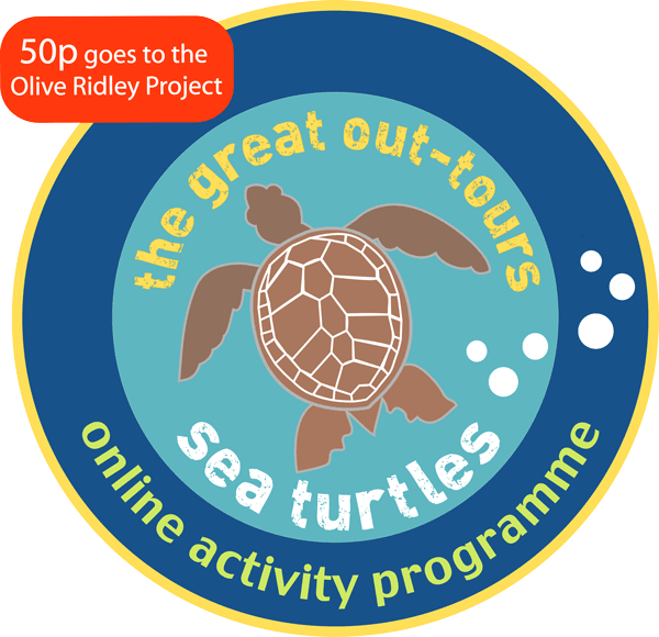 Sea Turtles Activity Bundle Online Activity Programme Olive Ridley Project