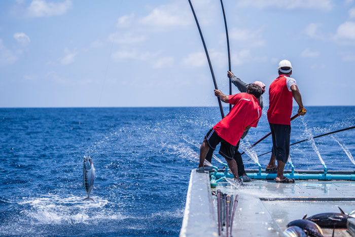 Greenpeace - Pole & Line Fishing in the Maldives