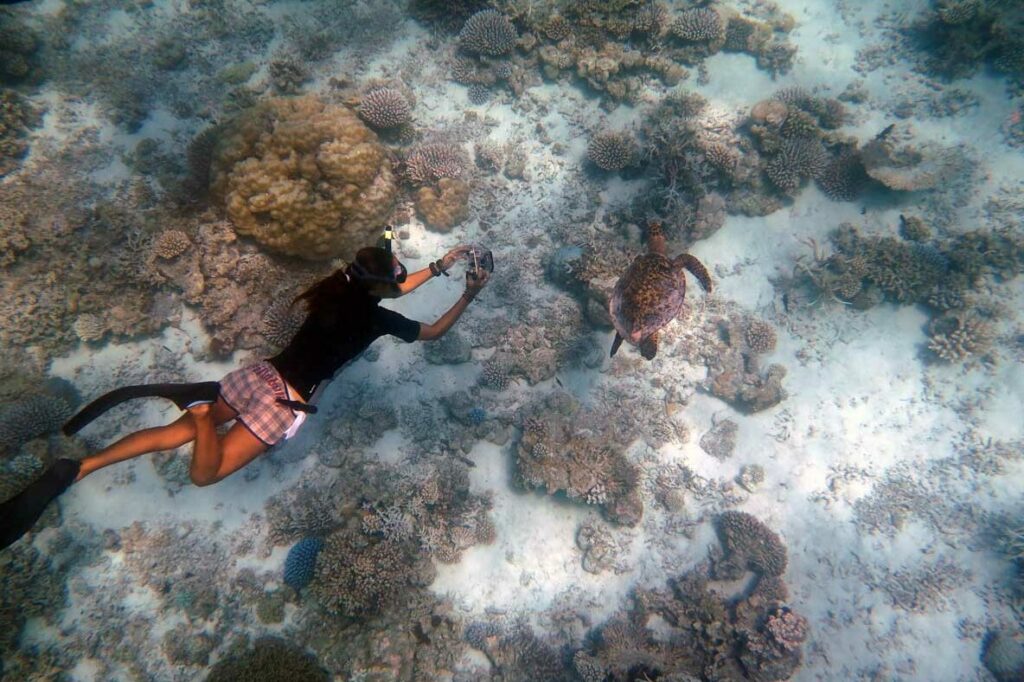 Citizen scientist taking photo of Lucia for ORP Turtle Phot-ID research Maldives