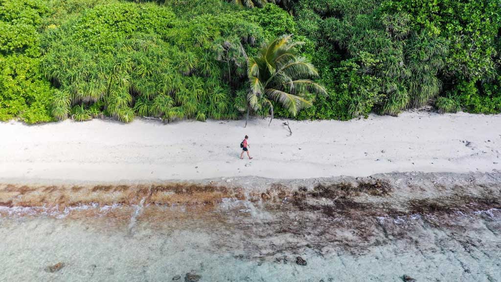 Nesting beach on Gaadhoo Island in the Maldives. Image.