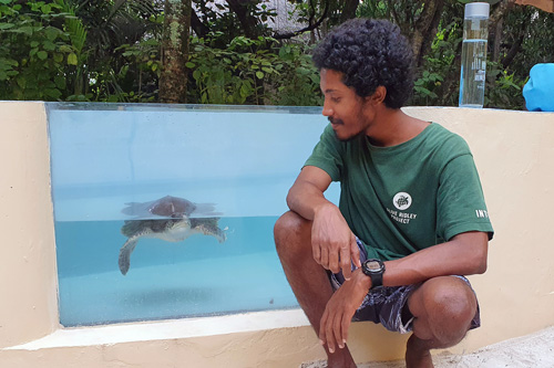 Intern Jinaad with turtle patient Blue. Image.