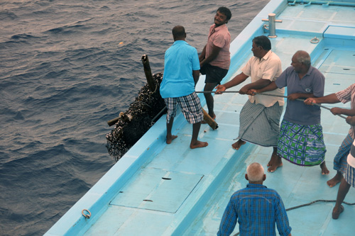 Fishers pulling a dFad on board. Maldives. Image.