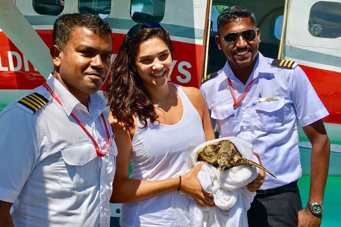 Turtle patient transport by sea plane, courtesy of TMA. Image.