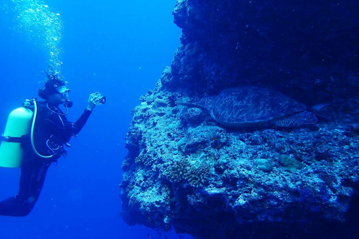 Diver taking photo of turtle under water for Turtle Photo-ID