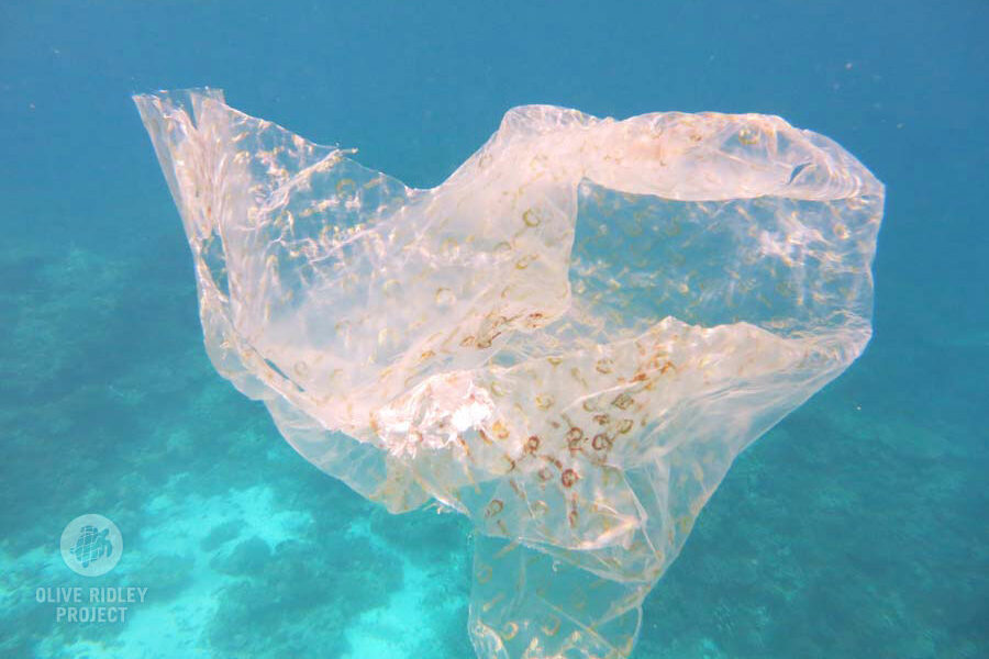 plastic floating in the ocean Maldives