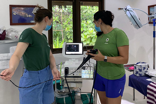 Dr Minnie and Dr Claire checking a patient with the endoscope. Image.