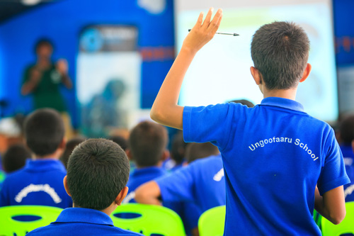 Sea turtle conservation through educational outreach. Image.