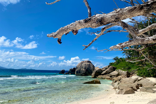 Grand Anse coast line, Seychelles. Image.