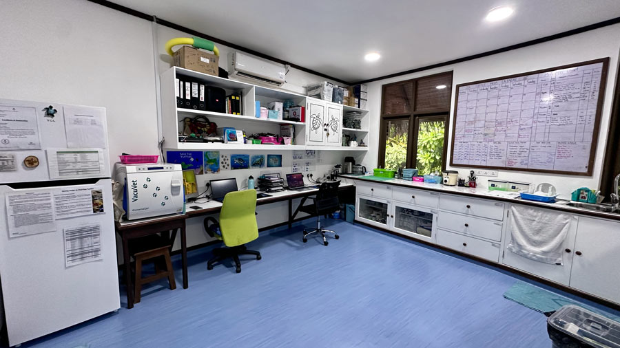 Image of the clinic laboratory room at the Marine Turtle Rescue Centre.