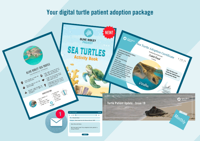 digital-adoption-package_turtle-patient Image of the contents of the digital turtle patient adoption package, including a personalised adoption certificate, a sea turtle fact sheet, a children's activity book, and monthly patient updates.
