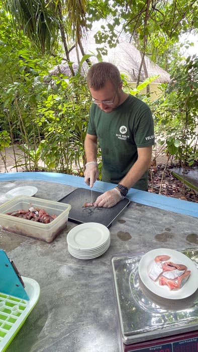 volunteer_preparing-food Male volunteer preparing food for the turtle patients at the Rescue Centre. Image.