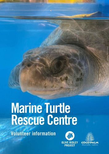 Volunteer with sea turtles in the Maldives information brochure cover. Image.