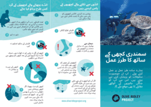 Sea turtle code of conduct infographic in Urdu. Image.